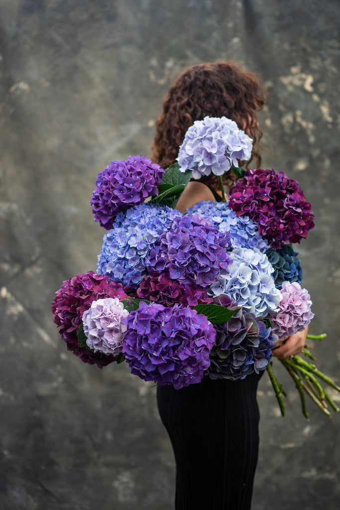 Pom Pom Boeket | Vier de zomer!