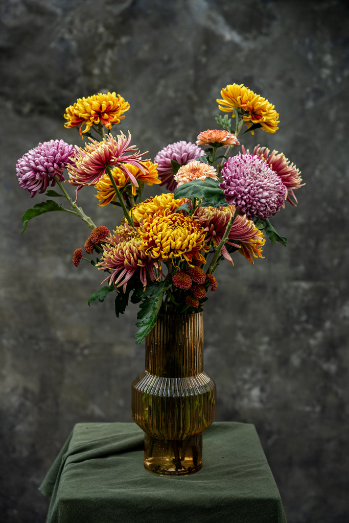 Herfstchrysant thumbnail