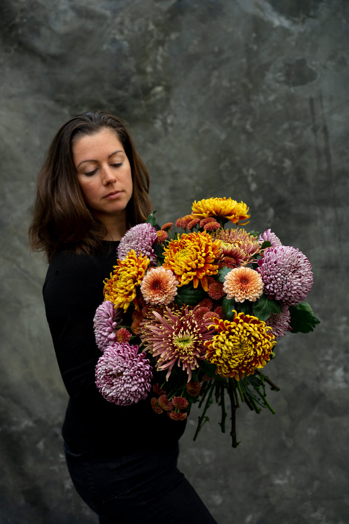 Herfstchrysant
