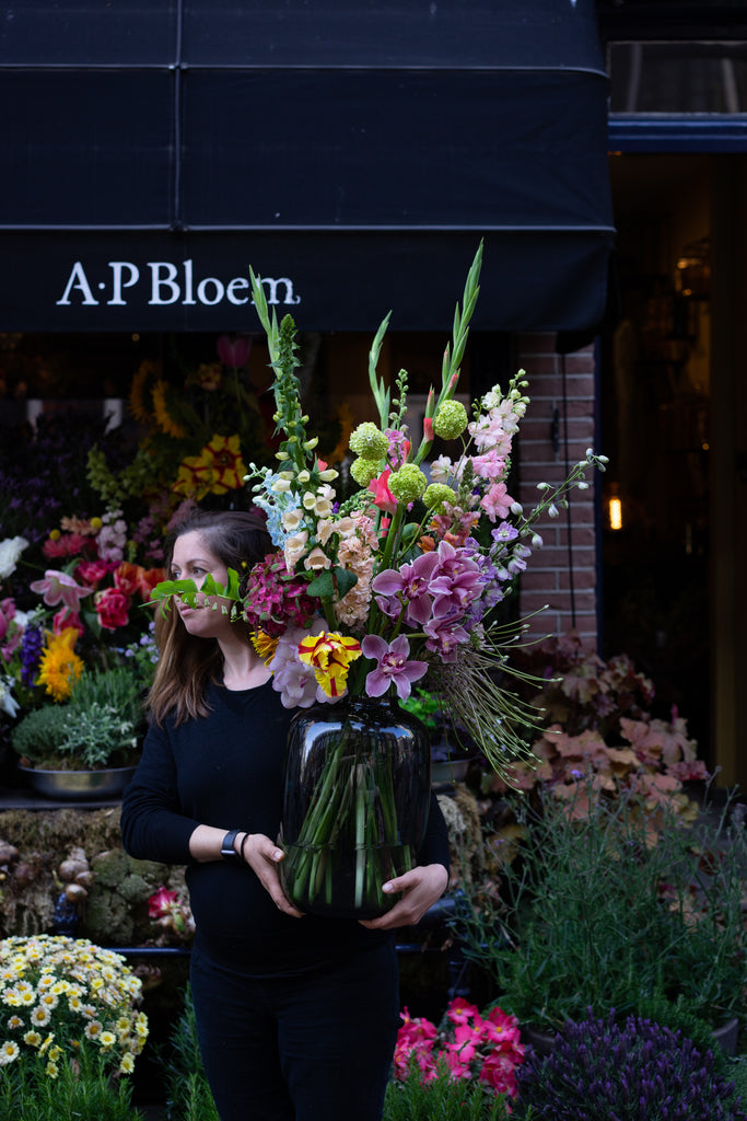 The Bold & the Beautiful (gouden glanseditie) thumbnail