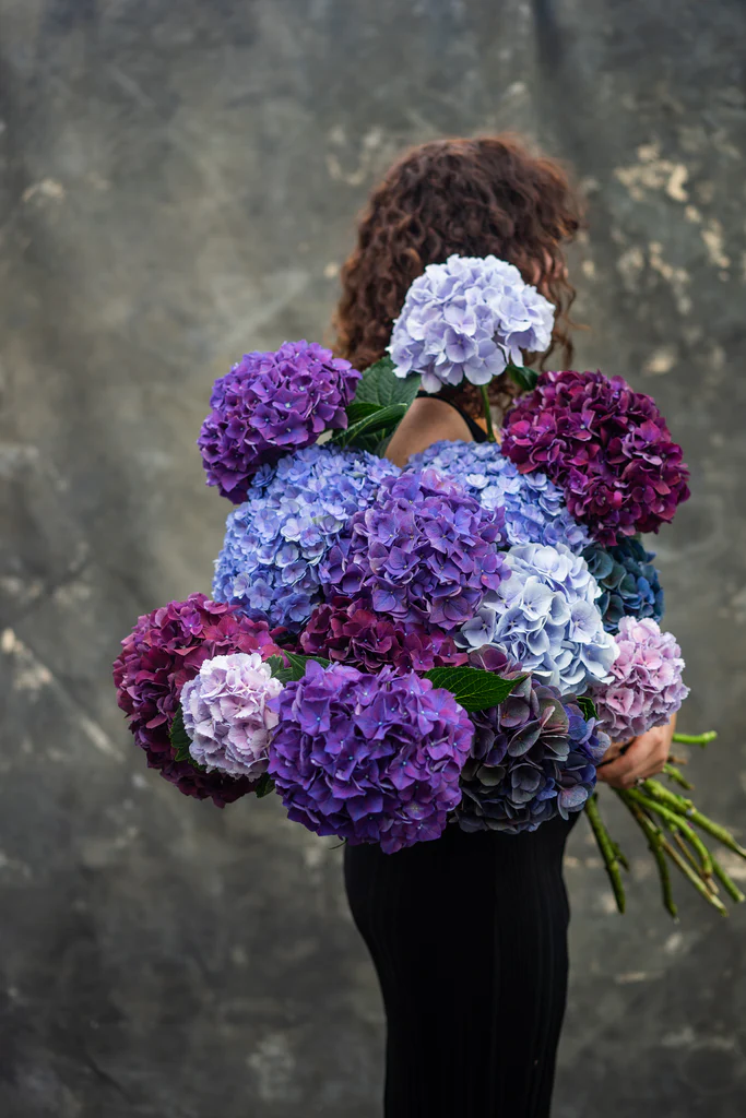 All Funeral flowers