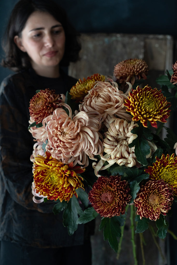 Herfstchrysant thumbnail