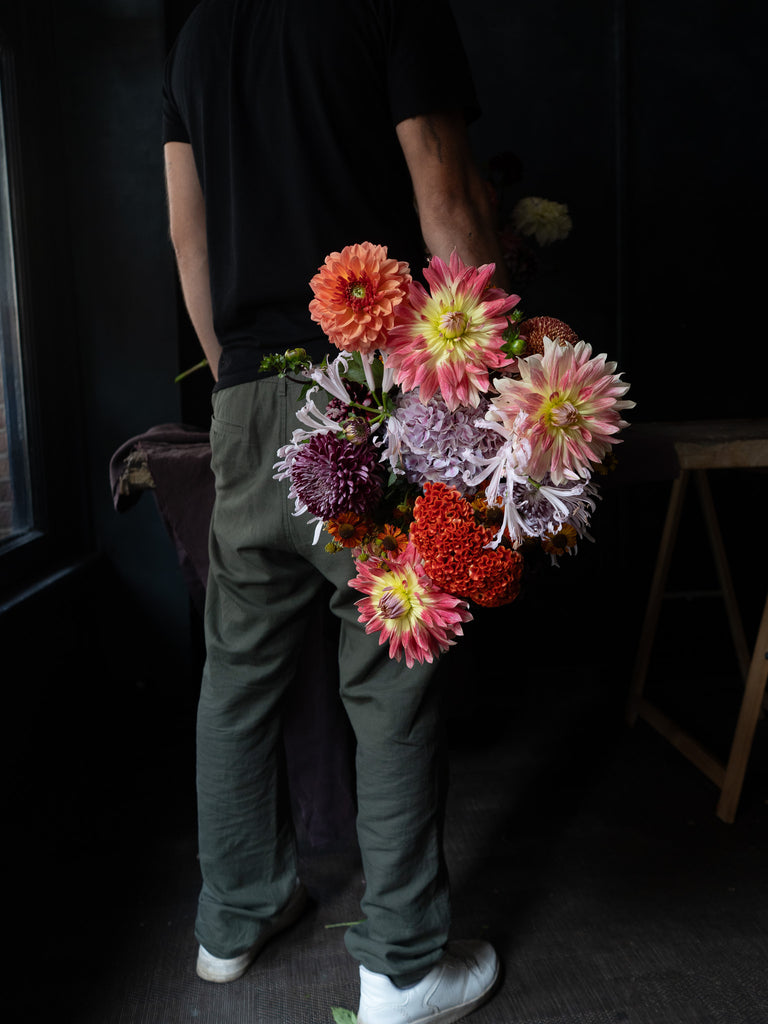 Dahlia Brights | Starting from; thumbnail