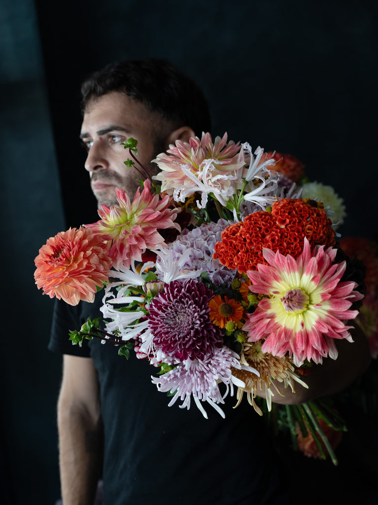 Dahlia Brights | Starting from;