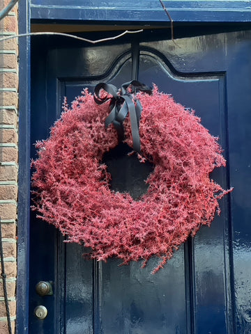 Wild Asparagus Wreath in Pink | Dried & Waxed