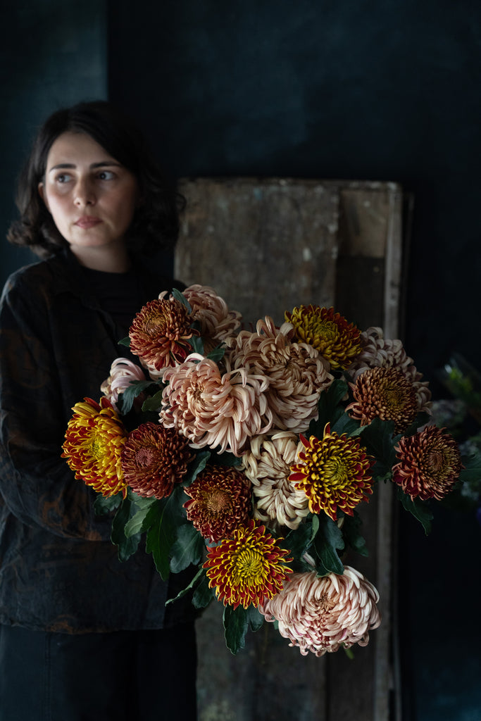 Herfstchrysant