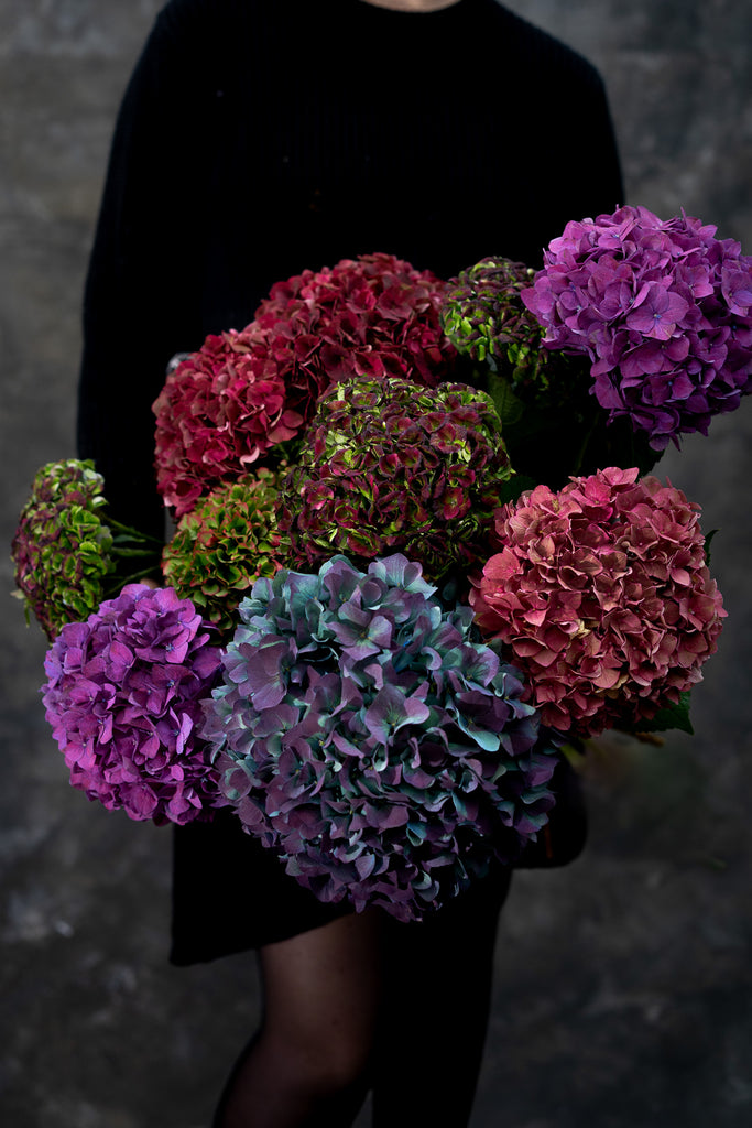 Herfst Pom Pom | speel de cheerleader!