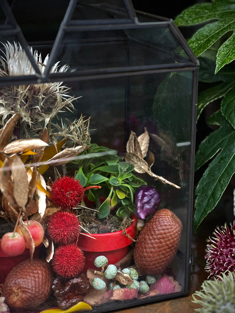 Greenhouse DIY | Fruits of Fall