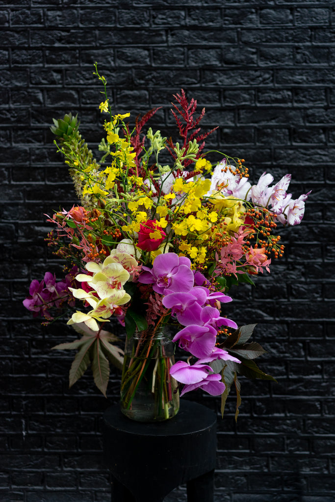 Fantasy Orchid Brights | Starting from;