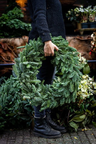 Nobilis pine wreath | 4 sizes